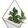 CosmoLiving by Cosmopolitan Hanging Planters 2-pack