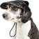 Petlife Cap-Tivating UV Protectant Adjustable Fashion Dog Hat Cap M