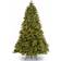 National Tree Company 6.5-ft Douglas Fir Pre-lit Traditional Artificial Christmas Tree 78"