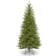 National Tree Company Dunhill Christmas Tree 198.1cm