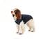 Joules Cherington Dog Coat Medium