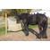 Kerbl Slowfeeder 160x100cm