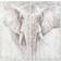 Dkd Home Decor Elephant Colonial Billede 120x120cm 2stk