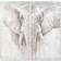 Dkd Home Decor Elephant Colonial Tavla 120x120cm 2st