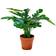 House Nordic Monstera Kunstig plante