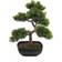 Europalms Bonsai Pine Kunstig plante