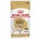 Royal Canin Labrador Retriever Adult Gravy Dog Food