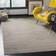 Safavieh Meadow Area Beige 152.4x99.06cm