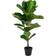 House Nordic Fiddle Fig Plante Artificielle