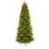 Puleo International 9-ft. Pre-Lit Franklin Artificial Christmas Tree 274.3cm