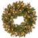 National Tree Company 24 in. Glittery Mountain Spruce Artificial Wreath Decorative Item