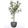 Emerald Olive Kunstig plante