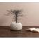Mogihome Shelly Vas 16cm