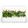 Click and Grow Smart Garden 9 Start Kit Minidrivhus