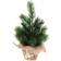 Winteria Mini Green Julgran 22cm