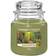 Yankee Candle Autumn Nature Walk Duftlys 623g