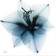 Empire Art Direct Glacial Amaryllis Wall Decor 38x38"