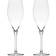 Nude Glass Vintage Champagne Glass 2pcs