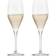 Nude Glass Vintage Champagne Glass 2pcs