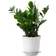 Juliska Berry & Thread Planter ∅7.5"