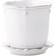 Juliska Berry & Thread Planter ∅5.5"