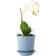 Juliska Berry & Thread Planter ∅5.5"