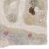 Lorena Canals Washable Rug Path of Nature 4x5.3"