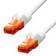 ProXtend RJ45-RJ45 UTP Cat6