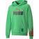 Puma Youth x Minecraft Hoodie - Vibrant Green (533436-87)