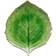 Costa Nova Riviera Flad tallerken 22cm