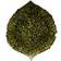 Costa Nova Riviera Dinner Plate 22cm 22cm