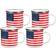 Golden Rabbit Stars & Stripes Cup & Mug 12fl oz 4