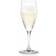 Holmegaard Perfection Champagne Glass 23cl 6pcs