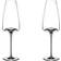 Zieher Vision Rich Verre à Vin 28cl 2pcs