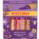 Burt's Bees Bounty Fruit Mix Lip Balm Holiday Gift Set