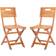 Safavieh Blison 2-pack Garden Dining Chair