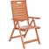 Safavieh Rence 2-pack Garden Dining Chair