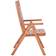 Safavieh Rence 2-pack Garden Dining Chair