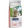 Bozita Feline Large Wheat Free Salmon
