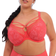 Elomi Brianna Plunge Bra - Cayenne