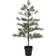 House Doctor Peuce with LED Lights Green Juletre 125cm