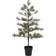 House Doctor Peuce with LED Lights Green Julgran 125cm