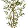 Nearly Natural Olive Artificial Tree Artificial Plant