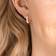Swarovski Hoop Earrings - Rose Gold/Transparent