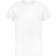 Casual Classics Mens Ringspun Tee