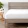 Bare Home Premium 1800 Bed Sheet Pink, Red, Green, Grey, Beige, Brown, Blue, Purple, White, Black (203.2x152.4cm)