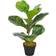 vidaXL Violet Ficus with Pot Konstgjord växt