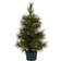 House Doctor HDPinus, Nature Christmas Tree 60cm