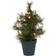 House Doctor Pinus Julgran 30cm