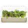 Click and Grow Smart Garden 9 Start Kit Minidrivhus